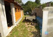 IMG_9274