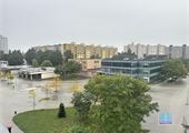 IMG_9526