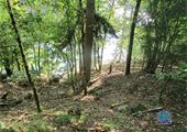 IMG_9584