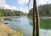 IMG_9587