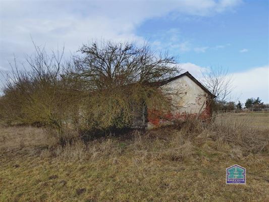 WhatsApp Image 2026-02-12 at 14.27.57