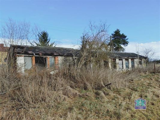 WhatsApp Image 2026-02-12 at 14.27.58 (1)