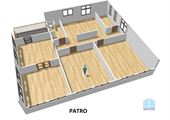 patro2