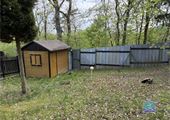 IMG_4435