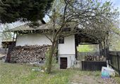 IMG_4437