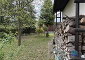 IMG_4441