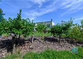 foto_10