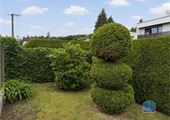 IMG_6170