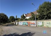 IMG_8131