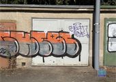 IMG_8133