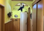 IMG_8158