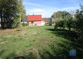 IMG_0719