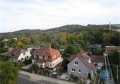 IMG_0773
