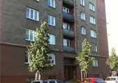 IMG_0388